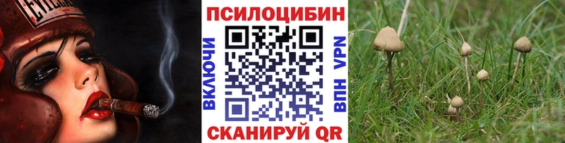 Купить  Нижние Серги  Галлюциногенные грибы Psilocybe 